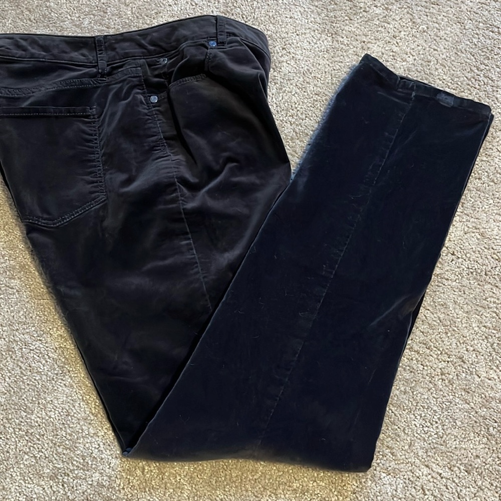 Talbots Flawless Five Pocket pants